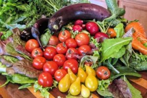 dieta mediterranea per dimagrire 5 kg
